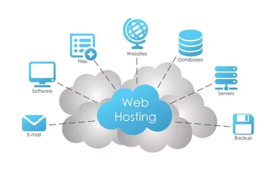 Choosing the Best Web Hosting for Websites in Pakistan