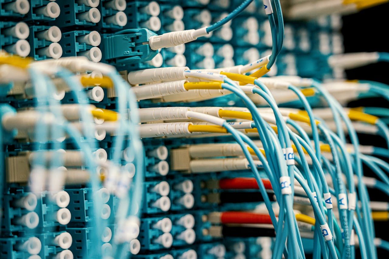 web-hosting-in-vehari