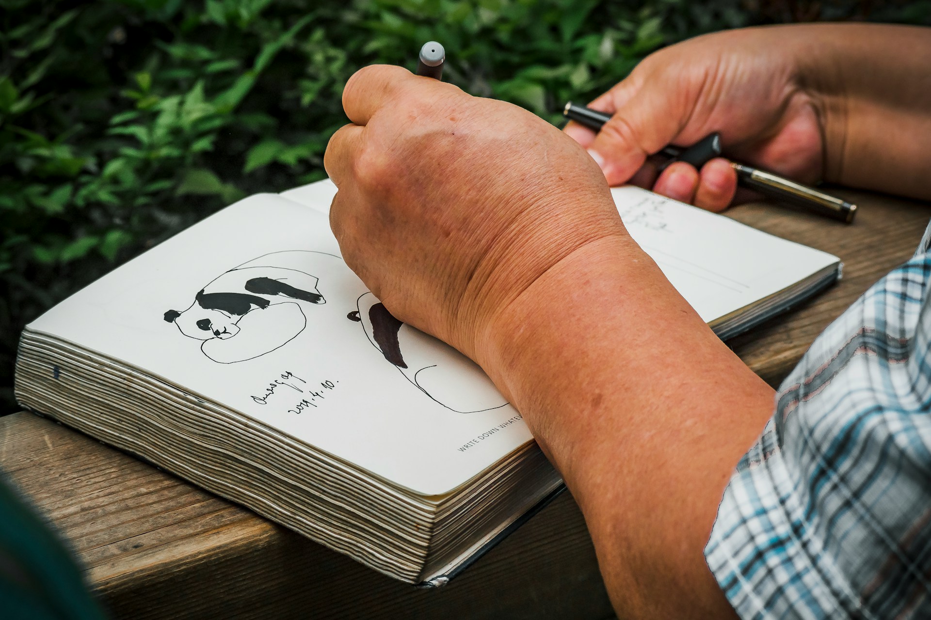 best-logo-designing-in-faisalabad